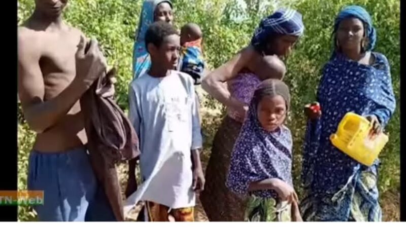 Diffa : Six otages libérés à Kablewa suite à une opération des FDS contre Boko Haram