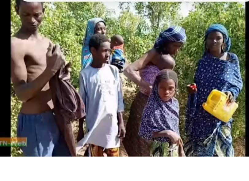 Diffa : Six otages libérés à Kablewa suite à une opération des FDS contre Boko Haram