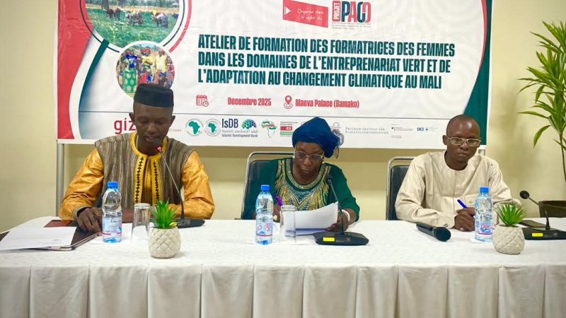 Mali : lancement à Bamako d’un atelier national sur l’entrepreneuriat vert et l’adaptation au changement climatique
