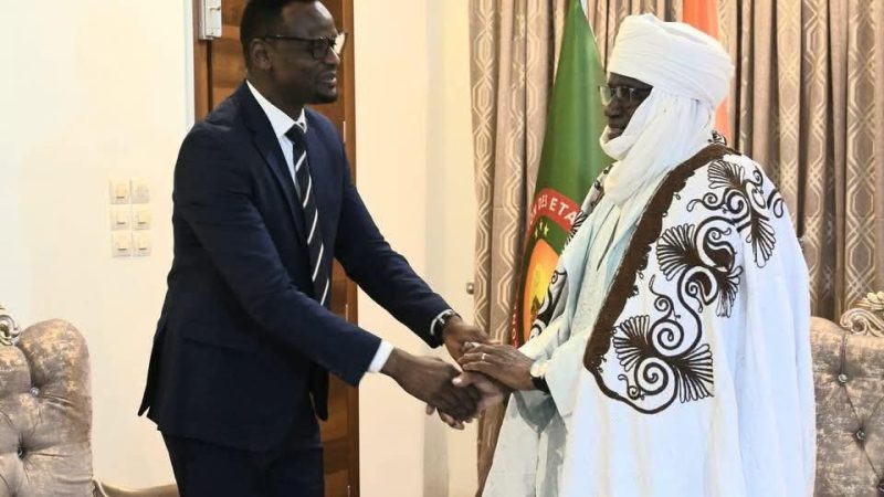 Audience au Cabinet du Président du Conseil Consultatif de la Refondation : le Président du REJEA reçu par le Dr Mamoudou Harouna Djingarey