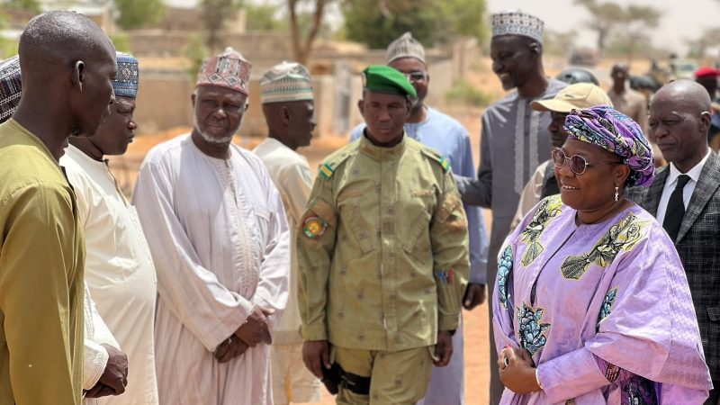 Tournée ministérielle : Dr Elisabeth Shérif marque des escales à Maïjirgui et Tessaoua