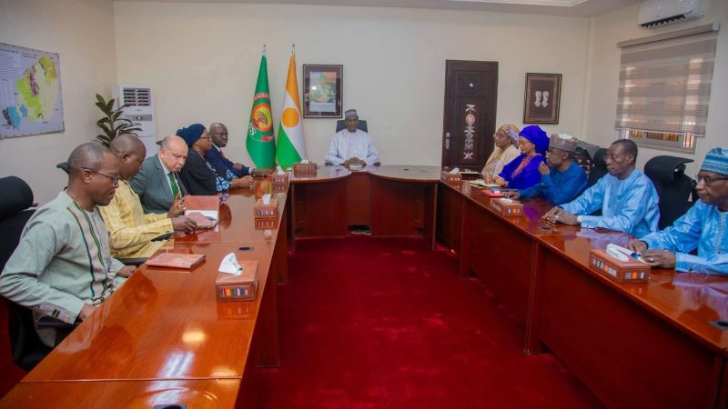 Niger – OIT : une audience à la Primature pour renforcer la coopération