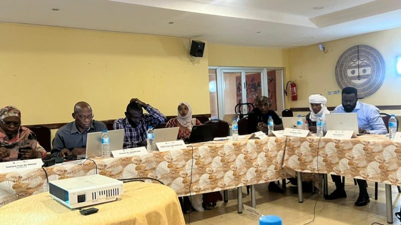 Niger : des journalistes formés aux techniques OSINT pour faire barrage à la désinformation au Sahel