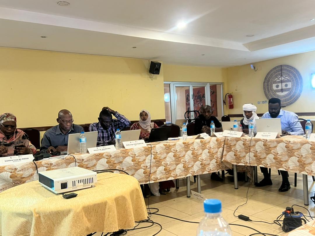 Niger : des journalistes formés aux techniques OSINT pour faire barrage à la désinformation au Sahel